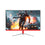 MONITOR / PC / TEROS / 24P / LED / FHD / 1920x1080 / 165HZ / 2MS / HDMI (165HZ) Y D-PORT (180HZ) / CURVO / TE-2471G / TERMONHDMTE-2471G