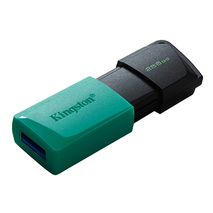 MEMORIA USB 256GB 3.2 KINGSTON DTXM