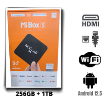 MI BOX MXQPRO 10K 256GB + 1TB